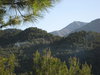 View from owner's house3