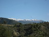 IMG 6003